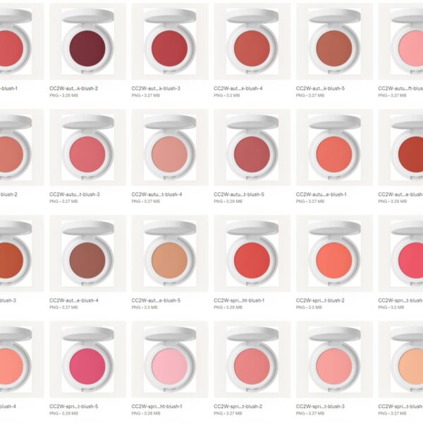 Seasonal Make-Up Kit CC2 - Image 4