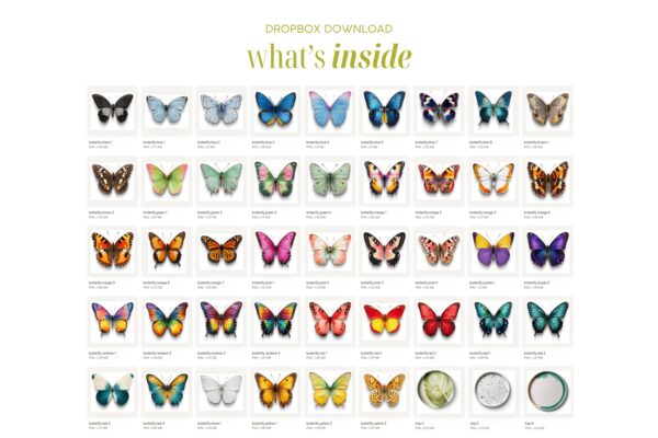 Flowers and Butterflies - Image 3