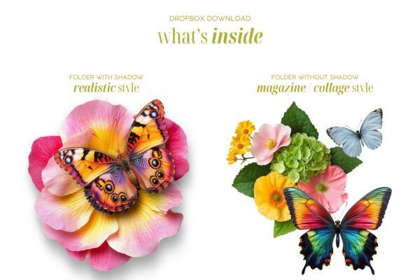 Flowers and Butterflies - Image 5