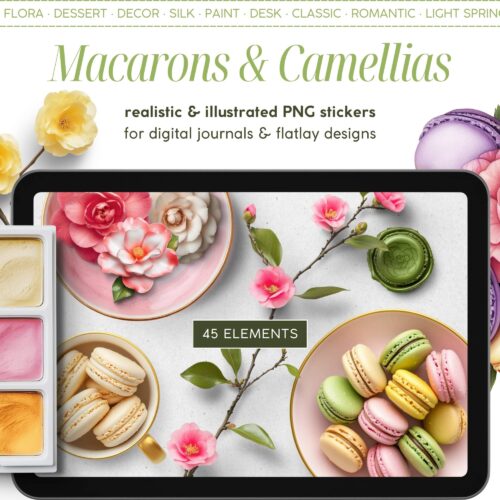 Macarons & Camellias