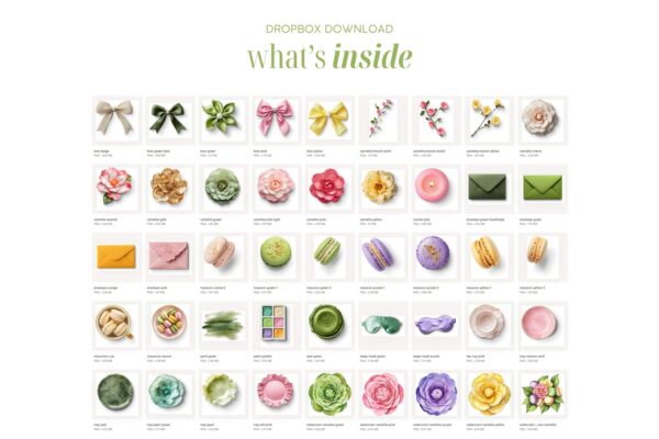 Macarons & Camellias - Image 3
