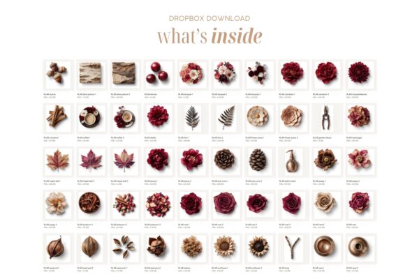 Ruby Latte Autumn Botanicals - Image 5