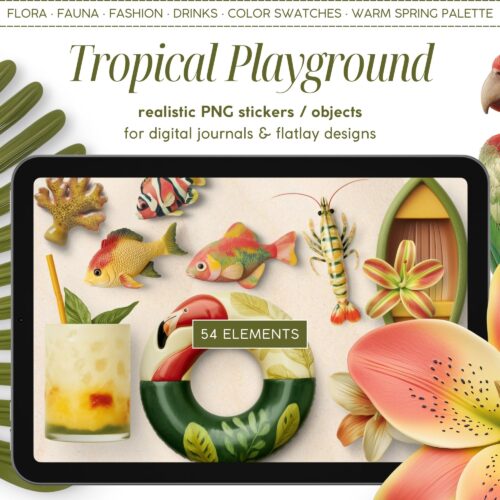 Tropical Playground