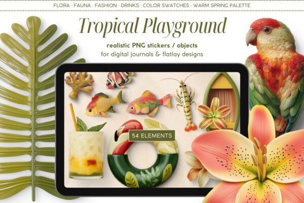 Tropical Playground